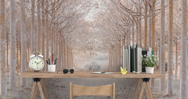 snowy forest path wallpaper for christmas wall murals in office