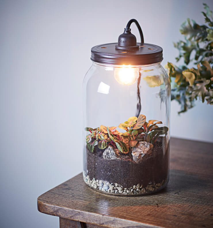 glass terrarium with bulb