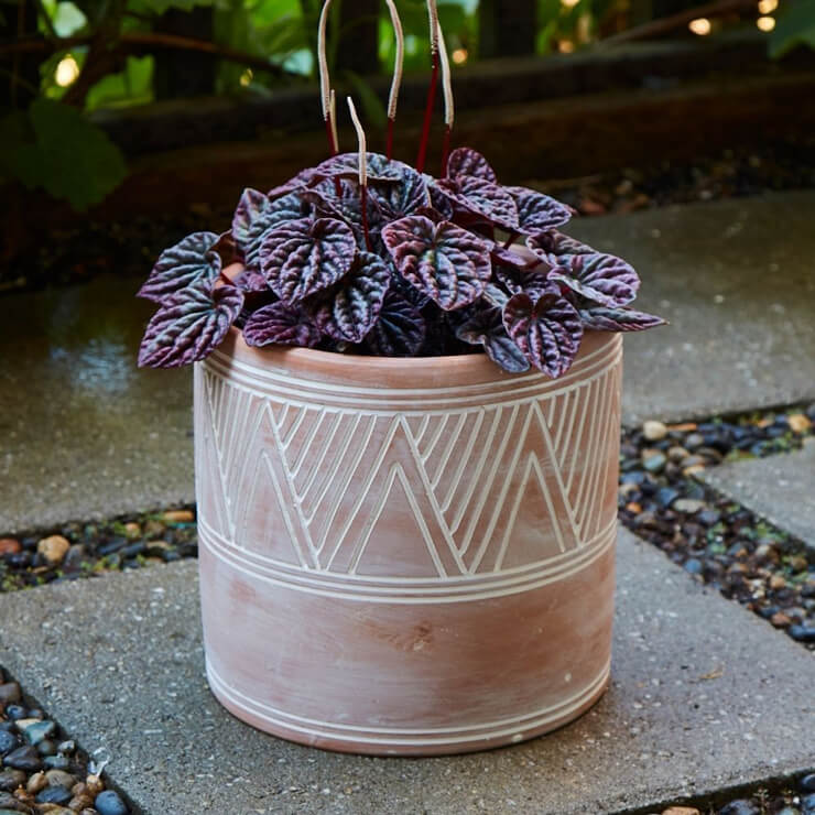 gifts for gardeners plant pot 