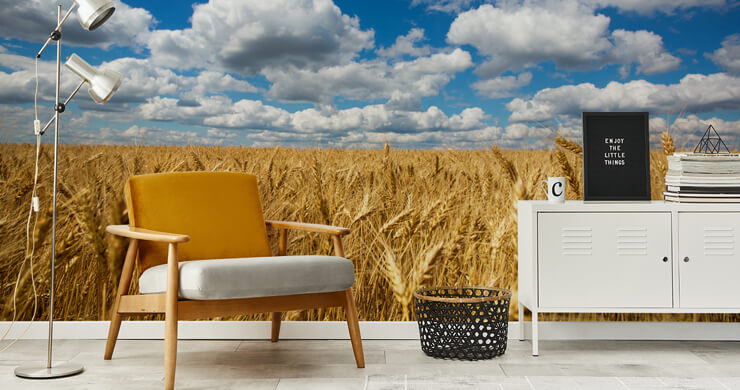cloudy blue sky and golden yellow wheat field wallpaper in mustard lounge