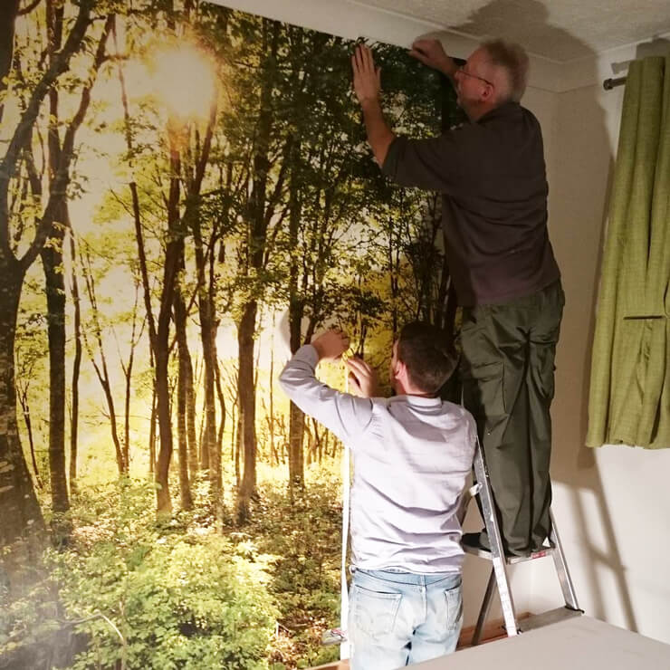sunlit forest wallpaper with two customers uploading it