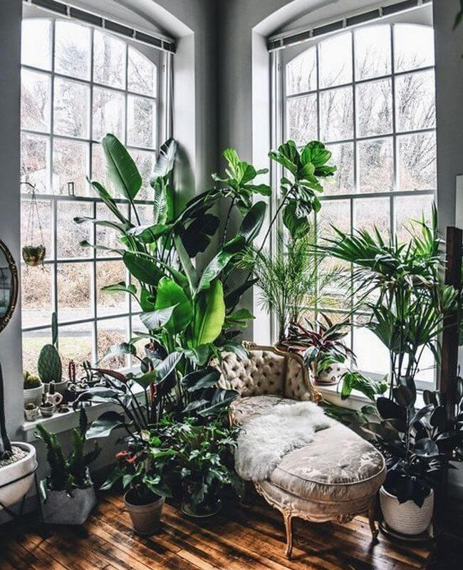 lots of potted and hanging green plants in seating area