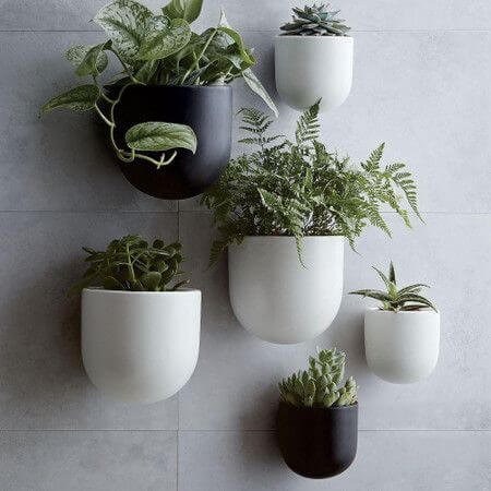 how to decorate with plants on a wall with wall pots