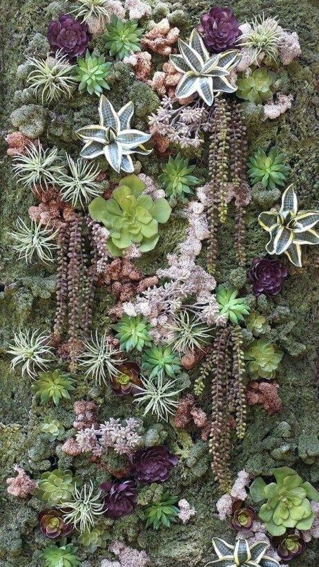 purple and green living wall