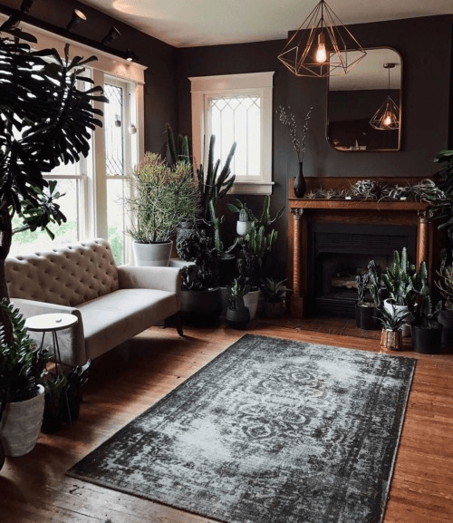 Dark living room with a wooden floor and large black rug
