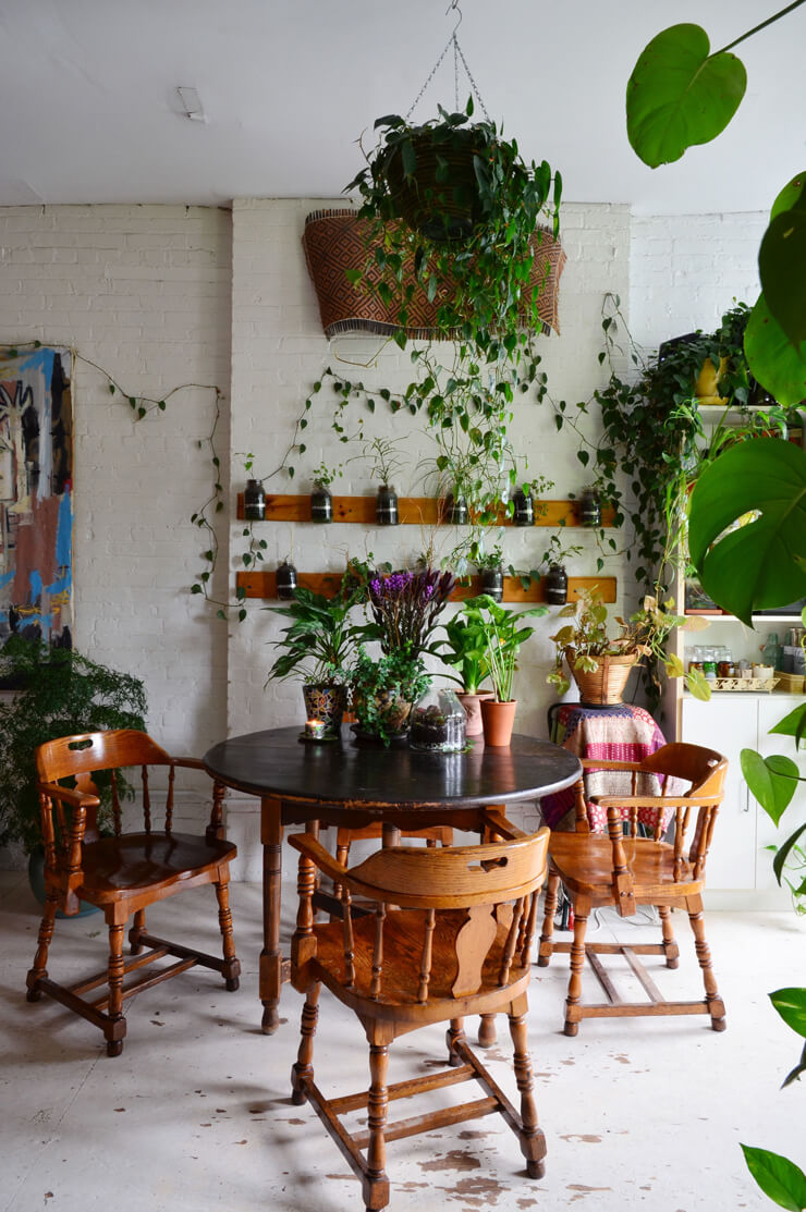 Dining room with white walls and wooden furniture surrounded by potted plants and trailing plants