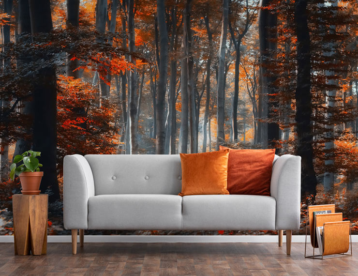 Dark autumn forest wall mural with orange and red leaves on tall trees in a living room with a grey sofa and orange cushions