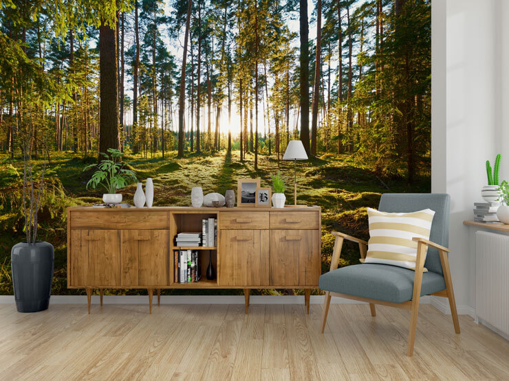 Woodland wallpaper with the sun shining through the green leaves in an office with a white desk