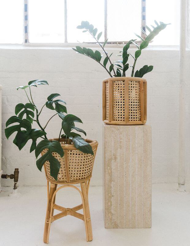 White bathroom with white units holding rattan plant pots with green indoor plants