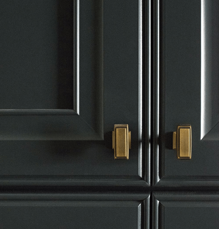 Black kitchen cabinets with brass and gold handles