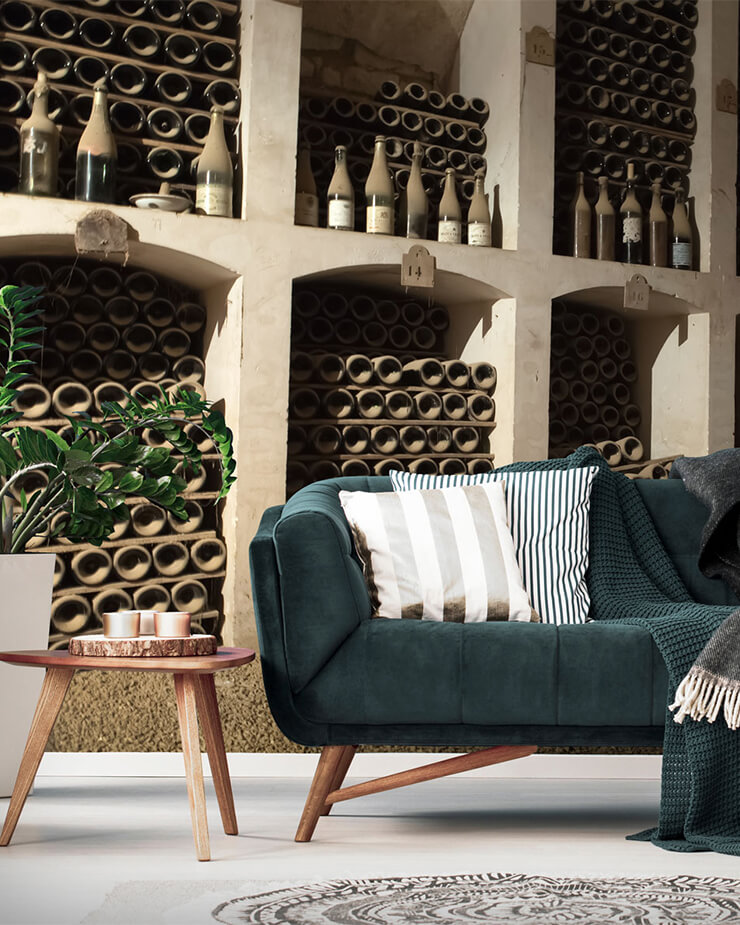 castle wall cellar in living room