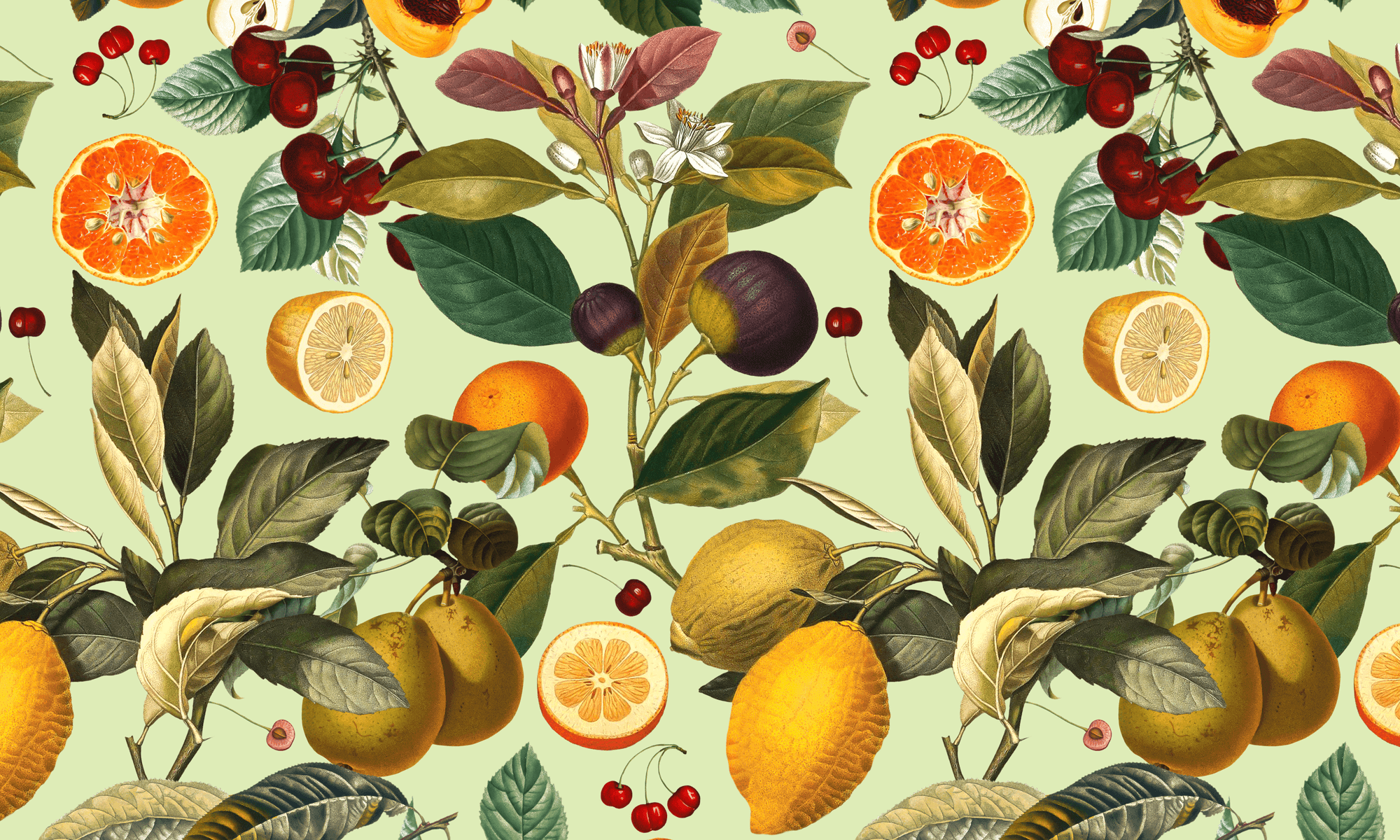 fruity wallpaper