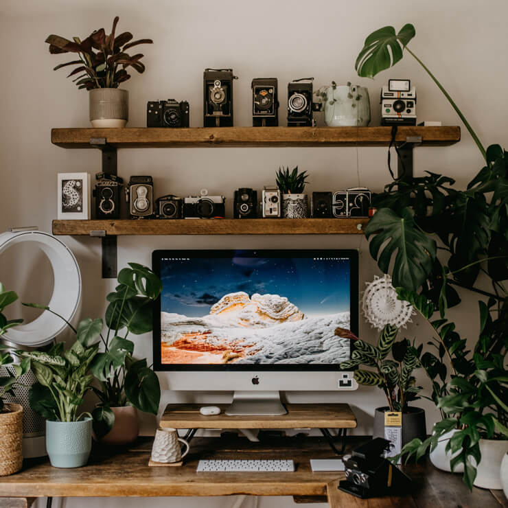 biophilia trend in home office