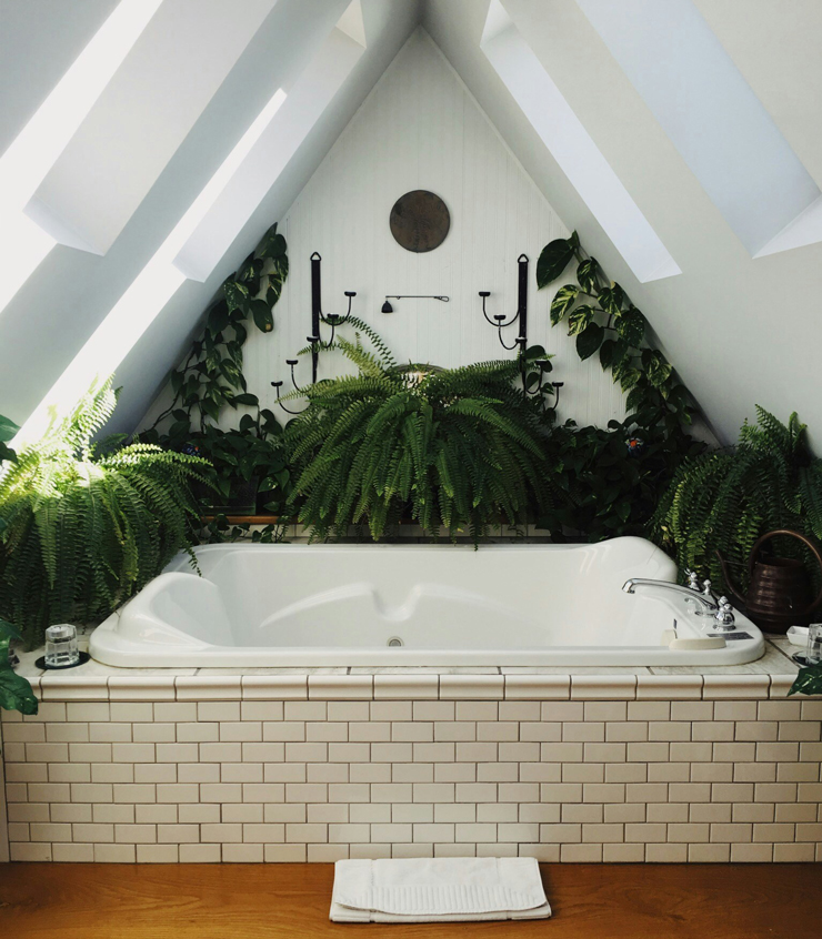 stylish small bathroom with plants