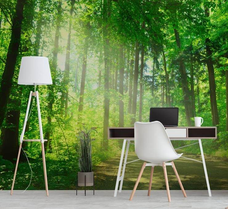 forest path in sunshine wallpaper mural in a home office