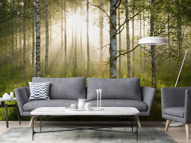 birch forest sunlight moss green living room birch forest sunlight moss green living room