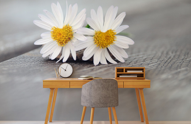 Daisy Wallpaper & Wall Murals | Wallsauce UK