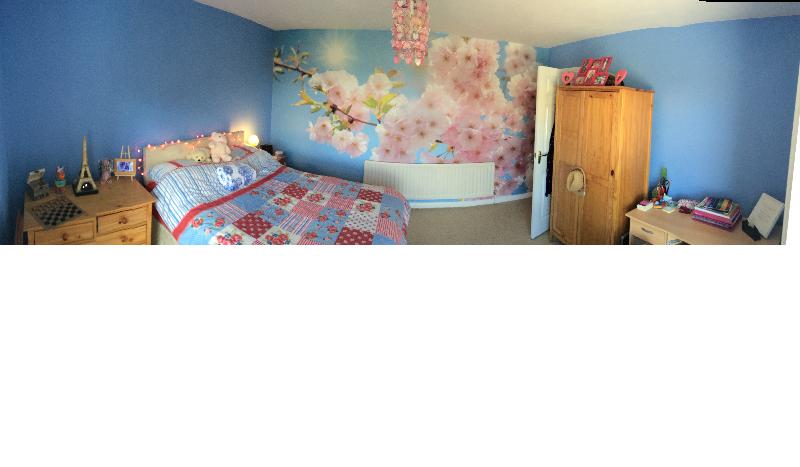 cherry blossom wallpaper in girl's bedroom