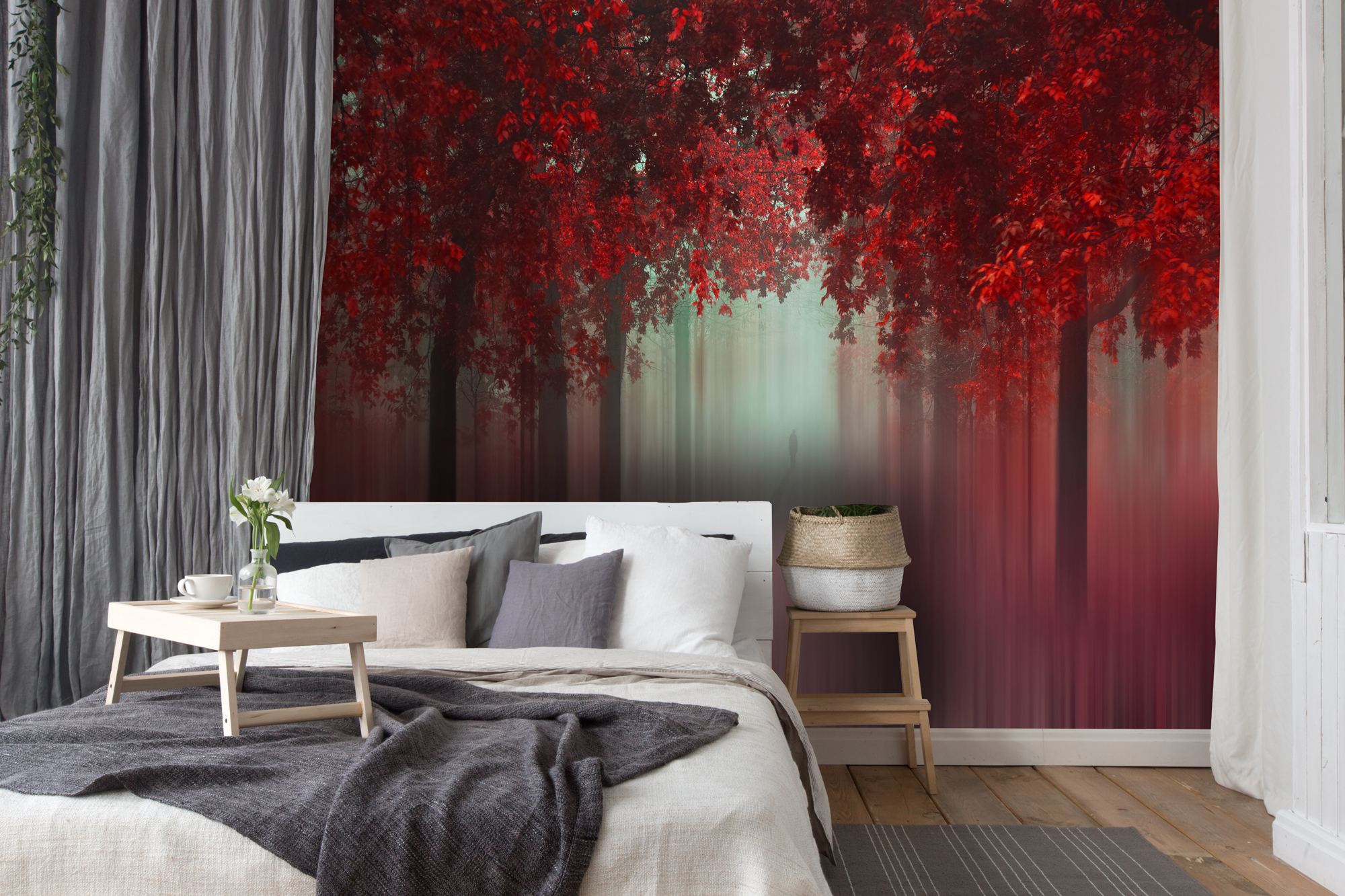 Red decor colour theory for your home