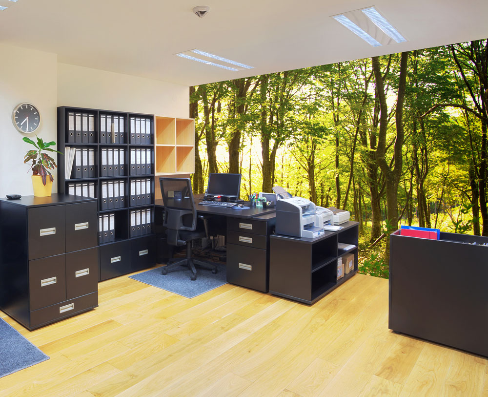 woodland mural in office design idea