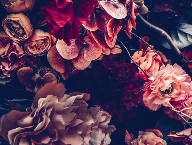 16 Dark Floral Wallpaper Designs at Wallsauce