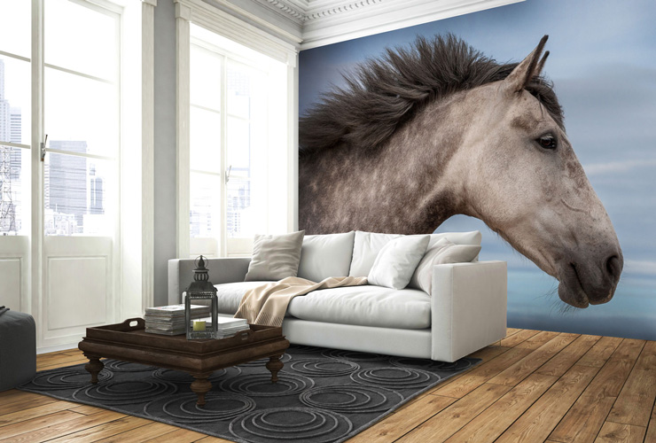 Horse_wall_mural_in_lounge