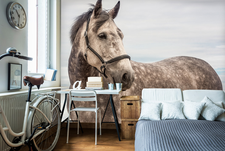 Horse_wallpaper_in_bedroom