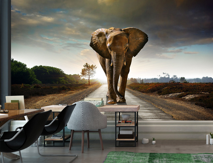 Walking-Elephant-mural-from-Wallsauce
