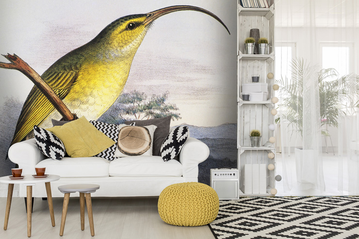 Yellow_bird_wallpaper_in_lounge