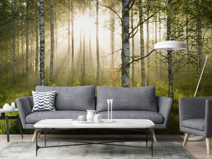 Birch-tree-contemporary-wallpaper-in-living-room