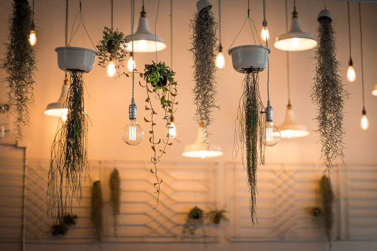 hanging-planters