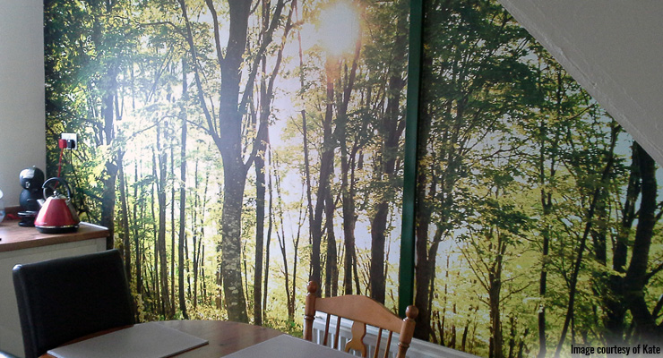 Forest-wall-mural-in-dining-room