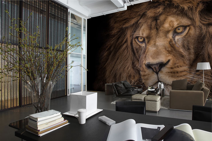 Lion-wallpaper-in-waiting-room