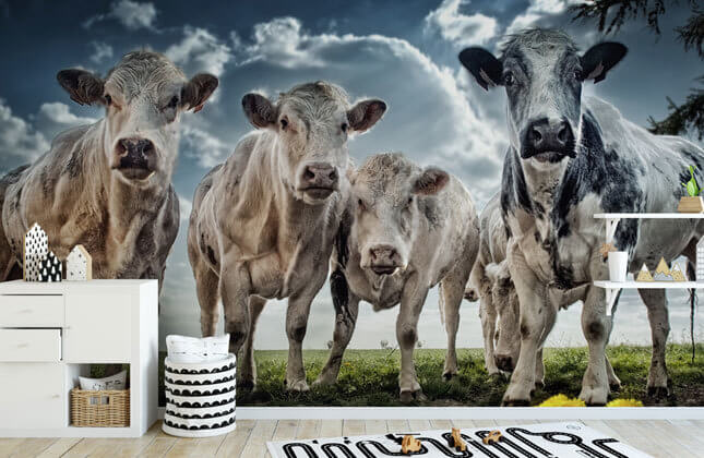 Brown & White Cow Spots Wallpaper Mural