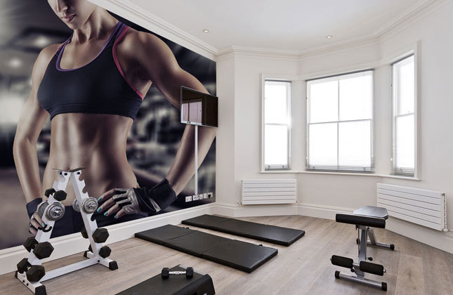 Home Gym Wallpaper  Home Gym Murals  Murals Your Way