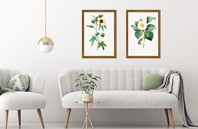 Botanical Prints