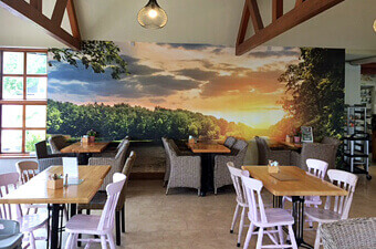 Griffins Garden Centre