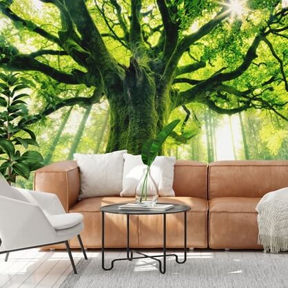 green tree wallpaper in living room