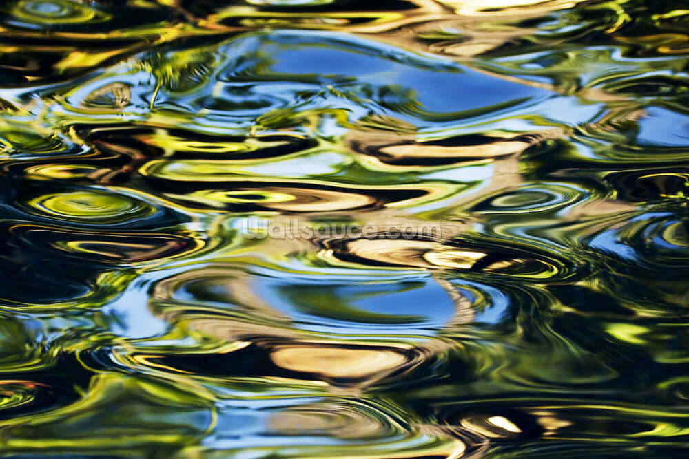colorful reflections on water wallpaper mural wallsauce us