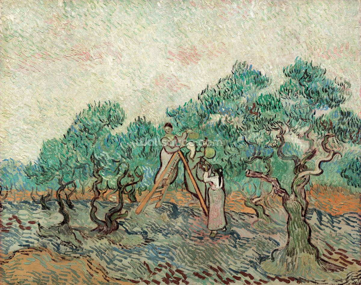 olive-grove-1889-