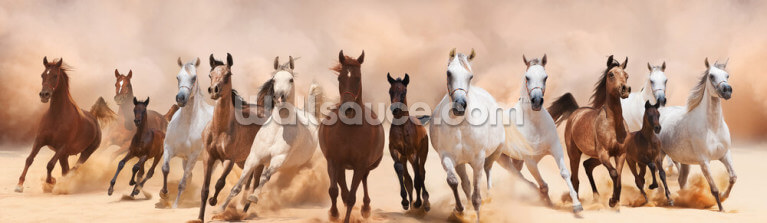 Herd of Horses Panoramic Herd of Horses Panoramic