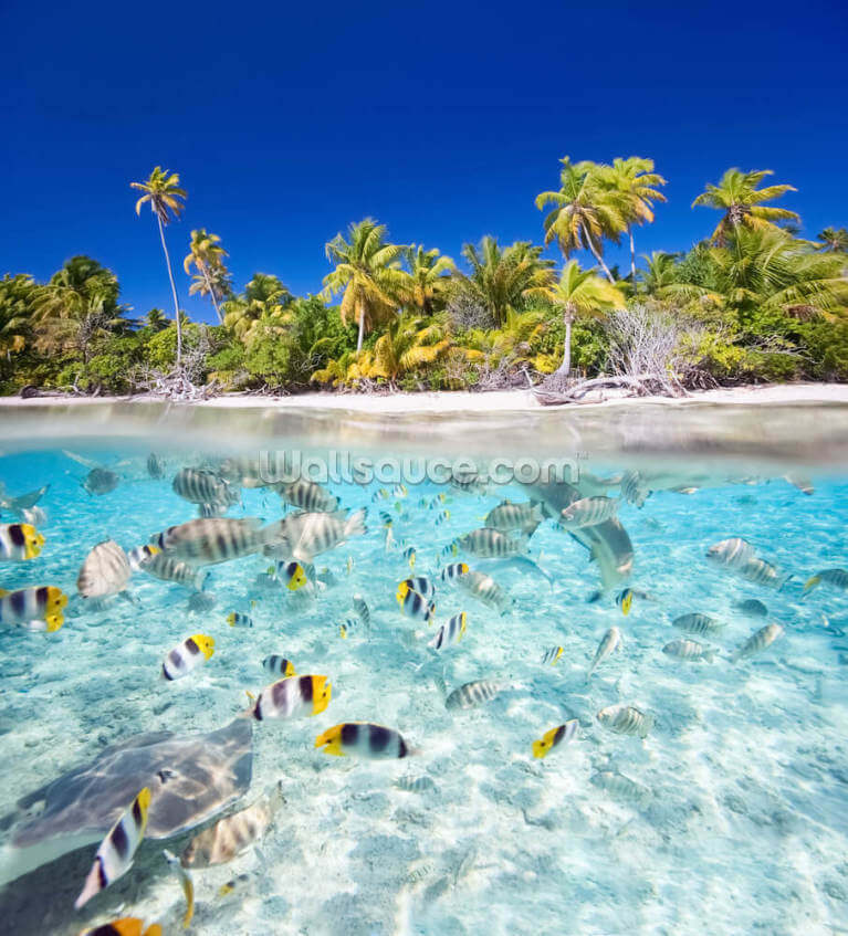 Tropical Island Tropical Island