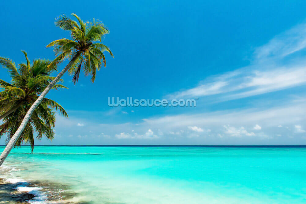 beach paradise wallpaper wallsauce us