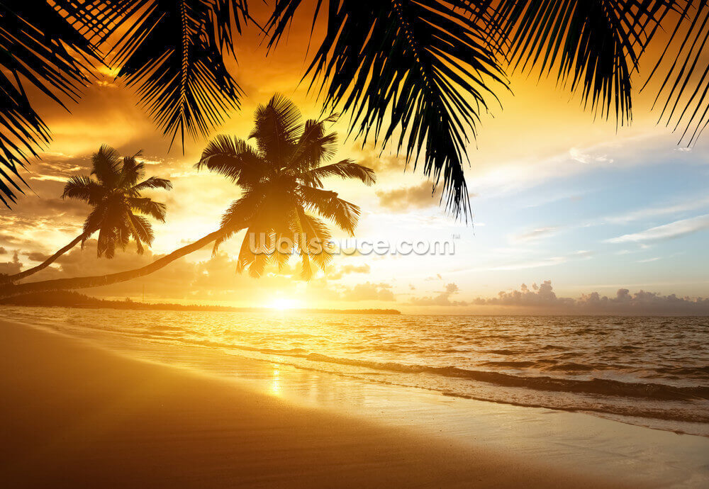 Caribbean Sunset Wallpaper Wallsauce Us Scenic colorful sunset at the sea coast. caribbean sunset wallpaper wallsauce us