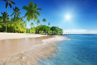 Beach Wallpaper Tropical Beach Wall Murals Wallsauce Us Davenport, california, usa, sunset, clouds, marine layers, waves, ocean, seascape, 5k, 8k. tropical beach wall murals