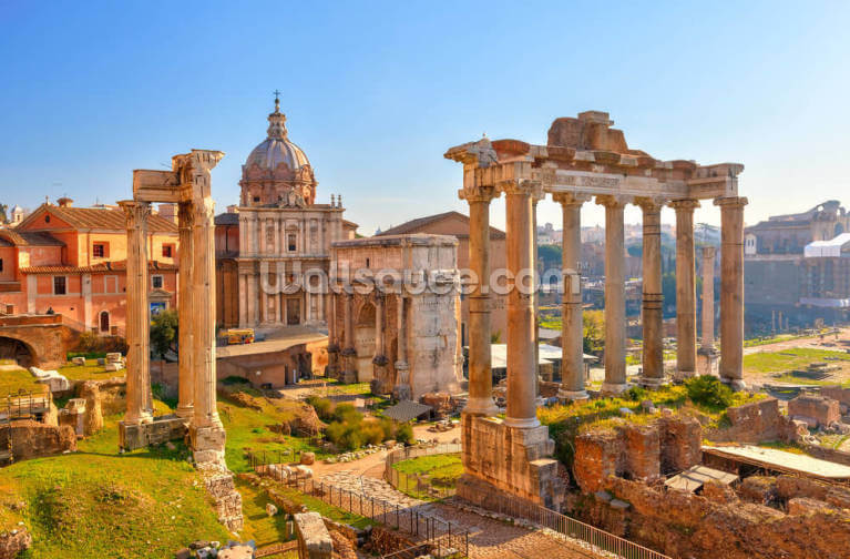 The Forum, Rome The Forum, Rome