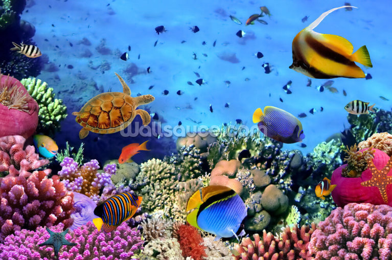 Coral Colony on a Reef Coral Colony on a Reef