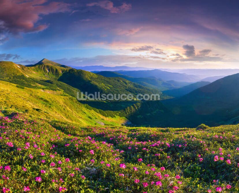 Lush Green Mountains