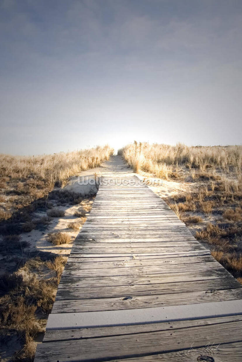 Boardwalk to Nowhere
