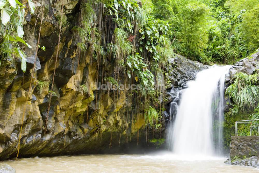 annadale falls grenada wall mural wallsauce us